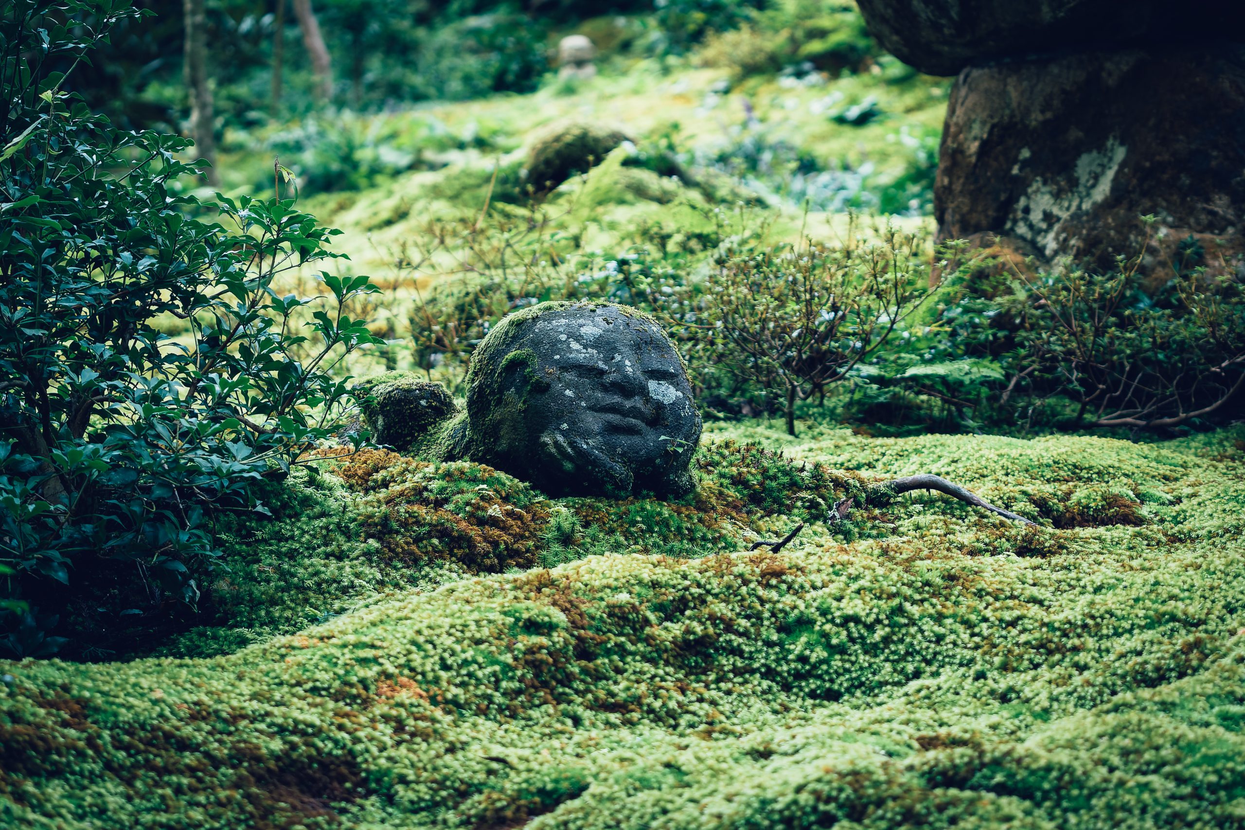 大学コラボプロジェクト「お寺巡りプロジェクト（京都大原の寺院を巡る）」
