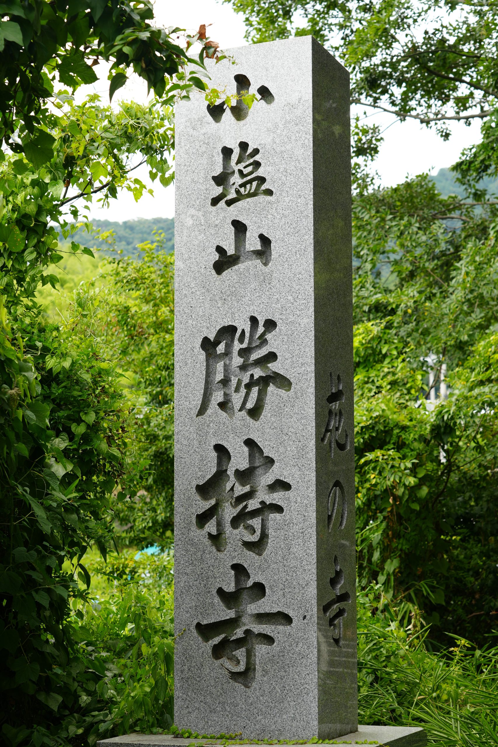 四季折々の花々が咲き誇り、美しい仏さまの浄土が広がる「勝持寺」を訪ねる