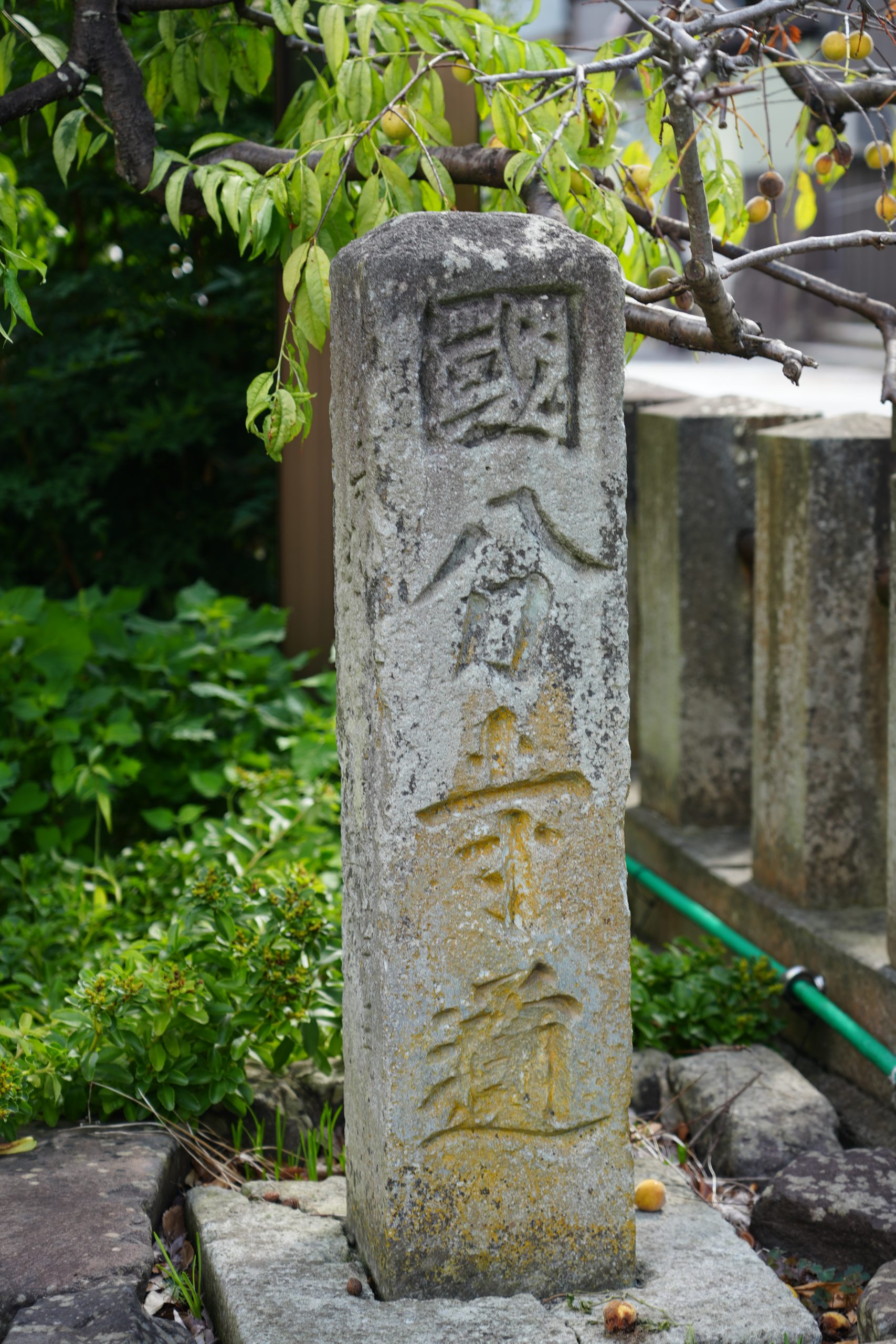 民衆を想う聖武天皇の鎮護国家の祈りを伝える「國分寺」を訪ねる